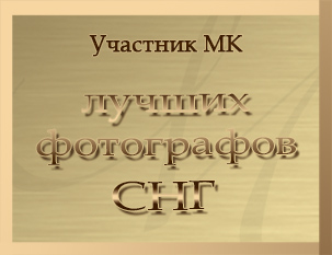 6 лет опыта съемки свадеб